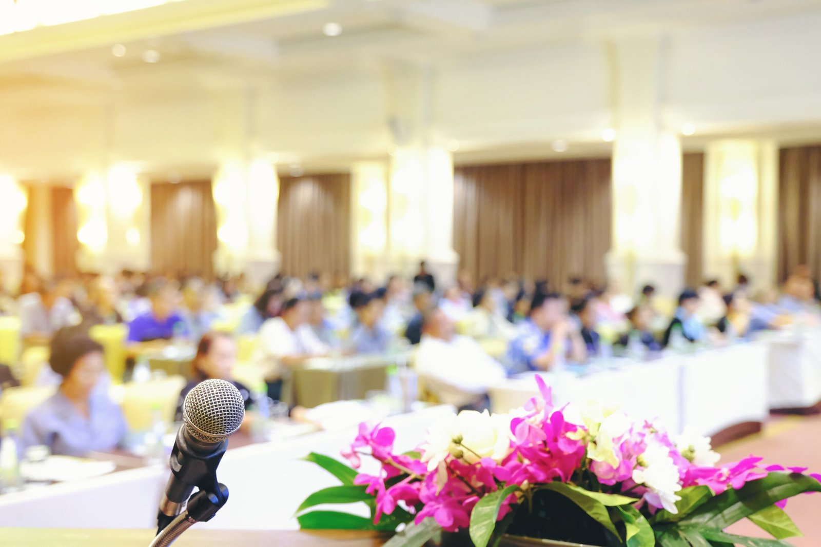 Meetings & Conferences